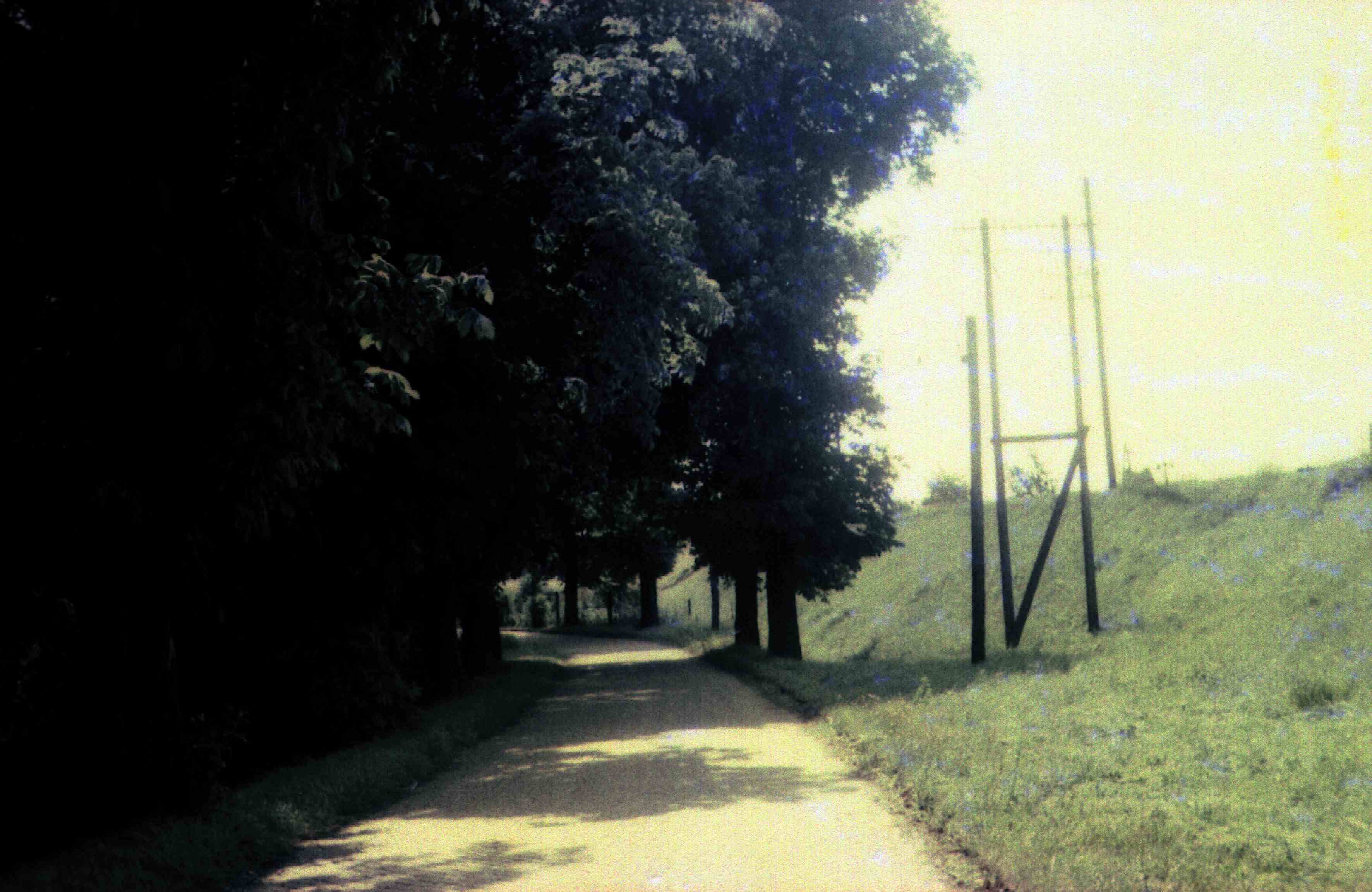 Kastanienbäume, Ladestraße, Belgershain, 1963