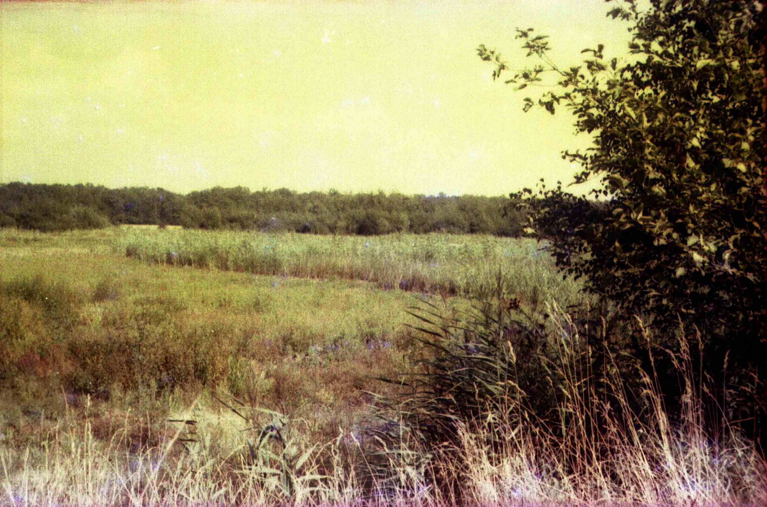 Landschaftsaufnahme Rohrbach/Sachsen, Sommer 1963