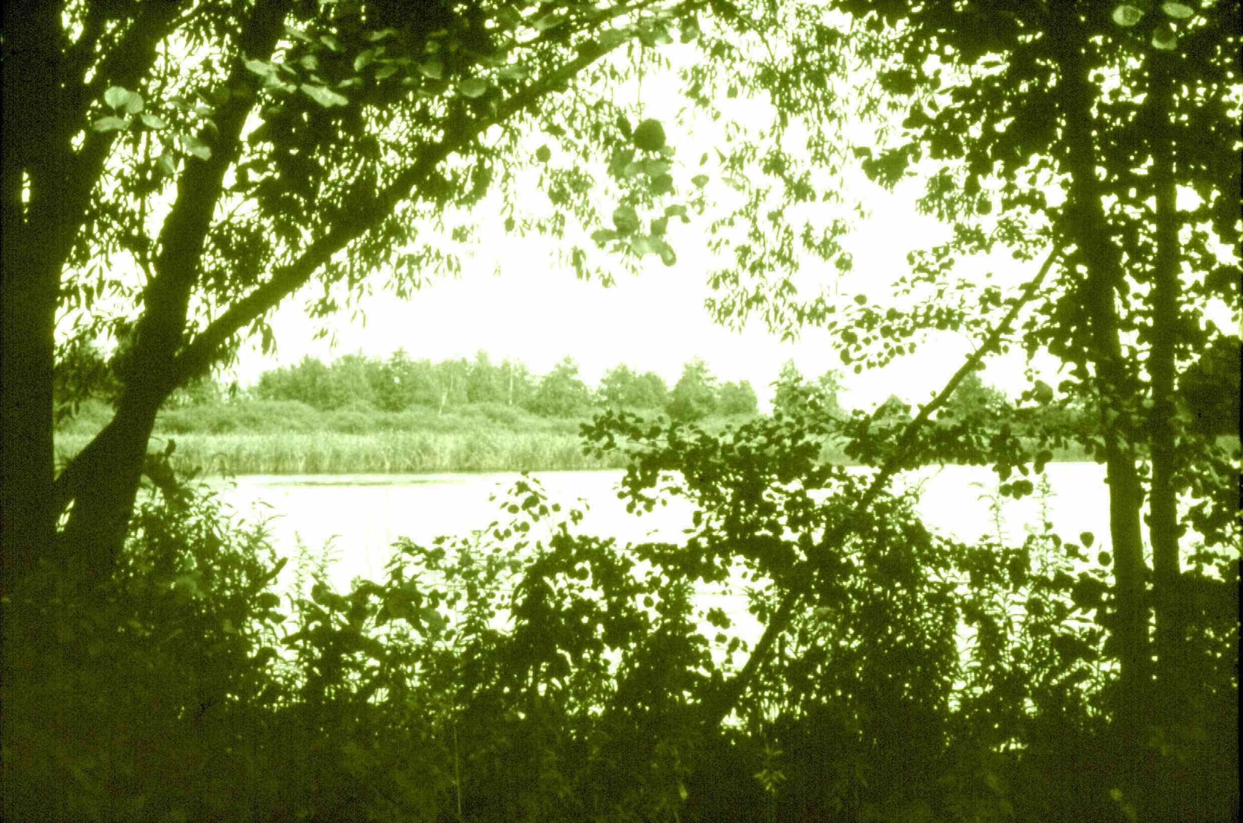 Rohrbacher Teich (Postkartenmotiv)