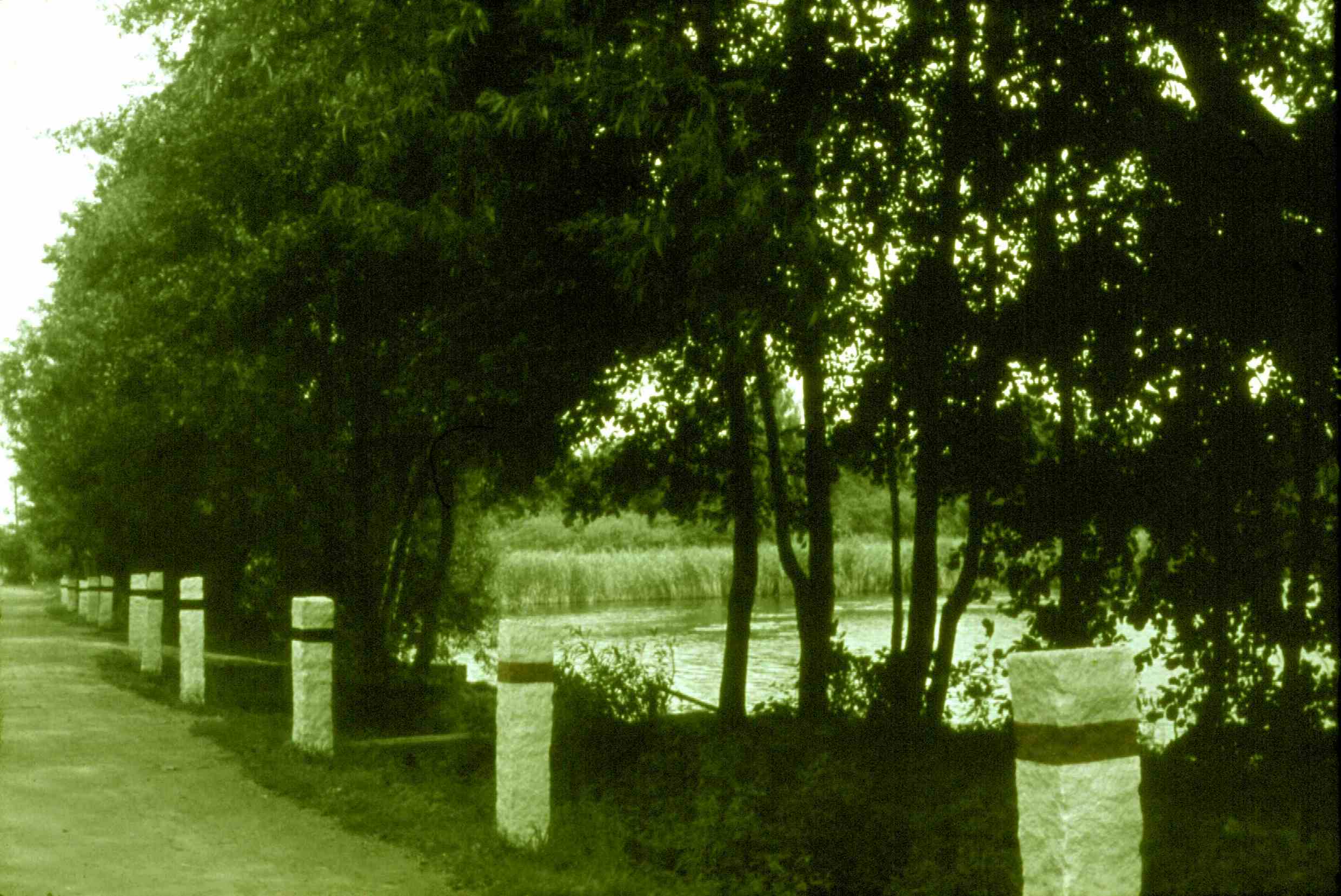 Teichufer mit Begenzungsposten rot und schwarz in Rohrbach in Sachsen