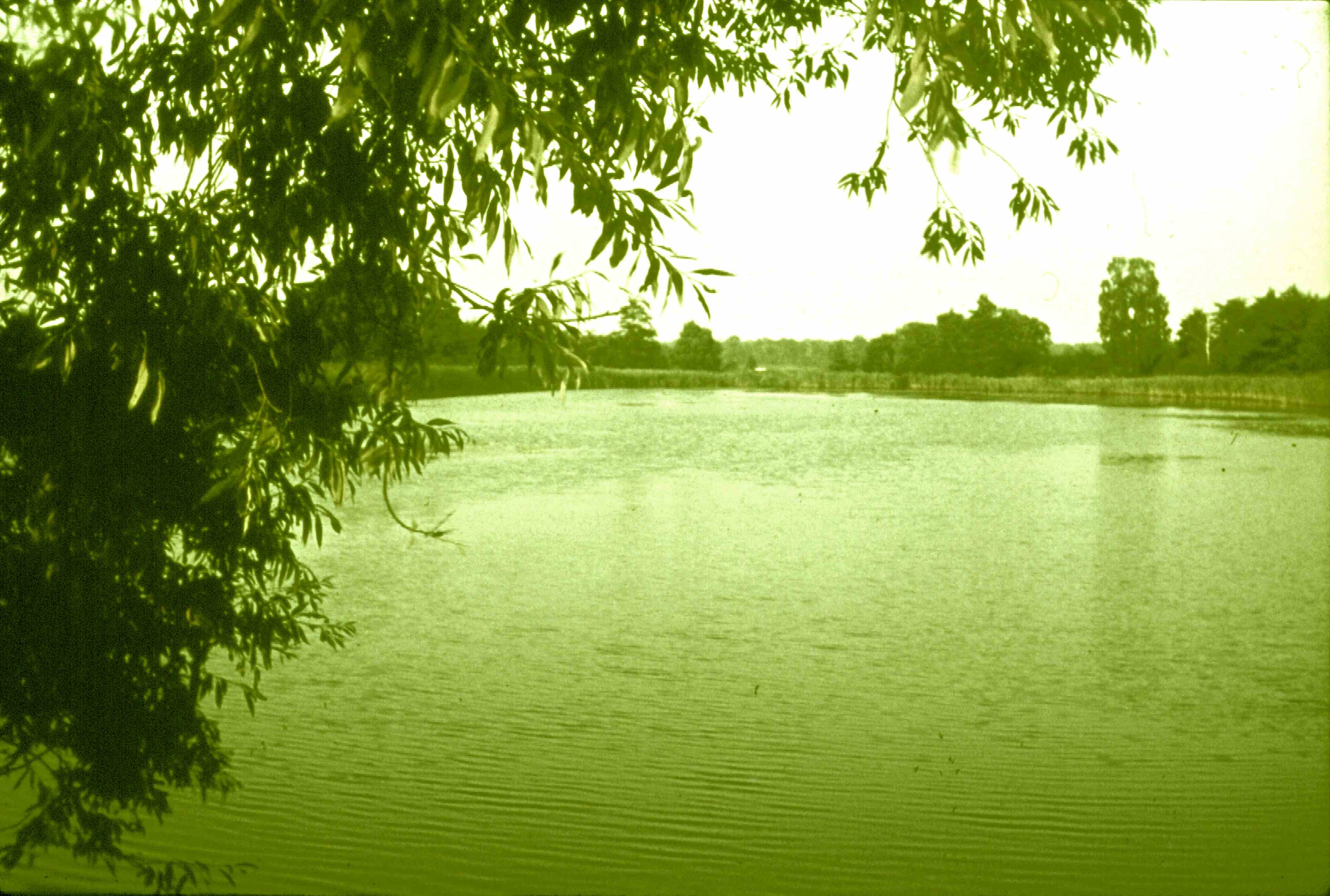 Badeort Rohrbacher Teich