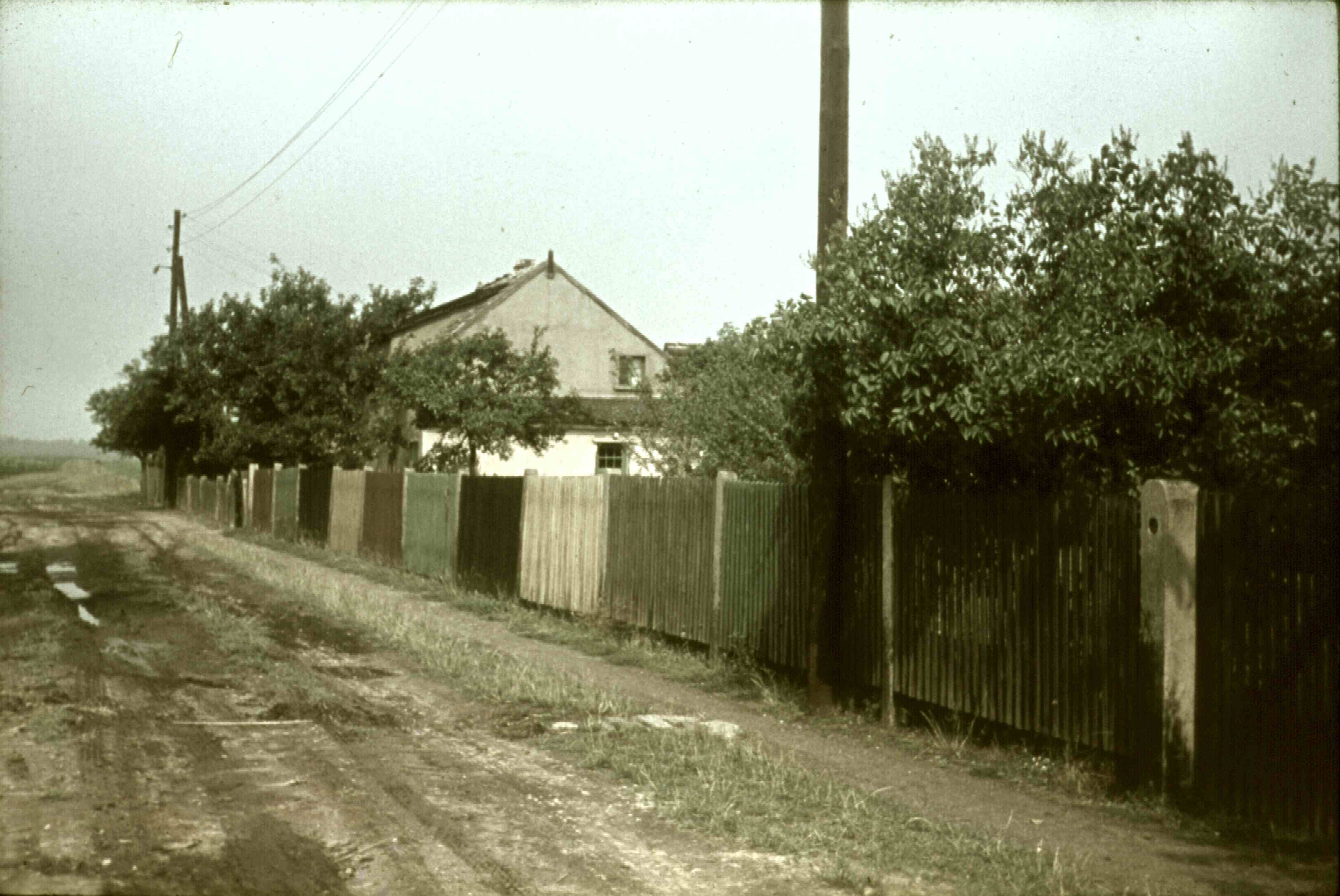 Belgershain, Siedlung