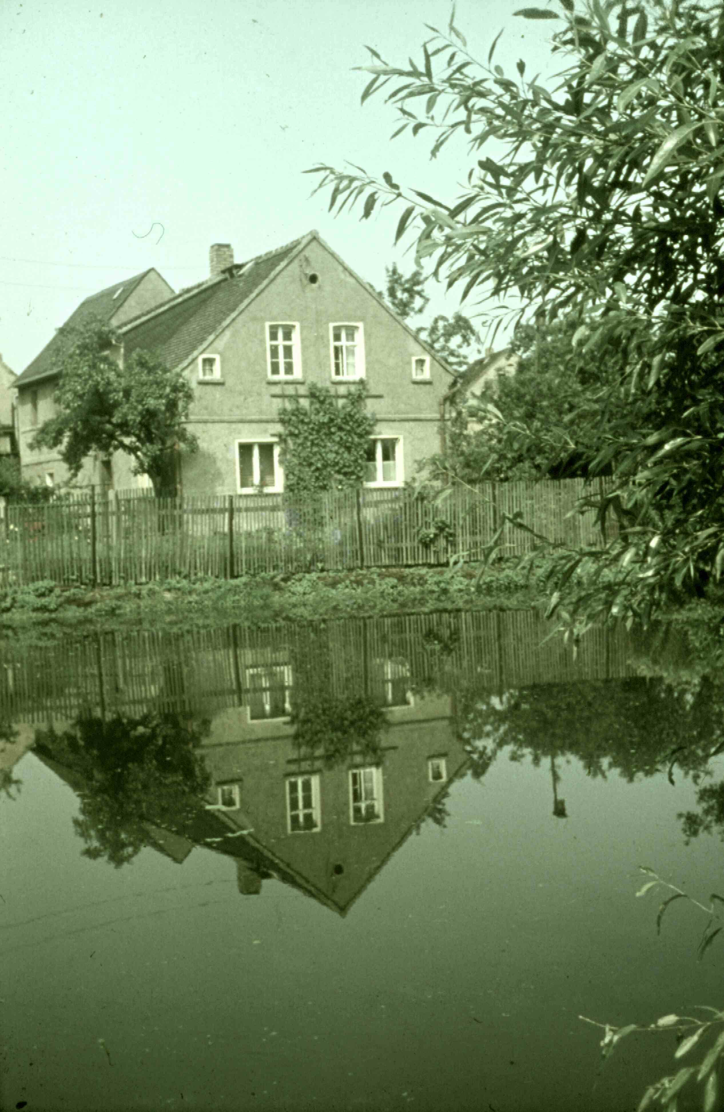 Belgershain, Mittelteich