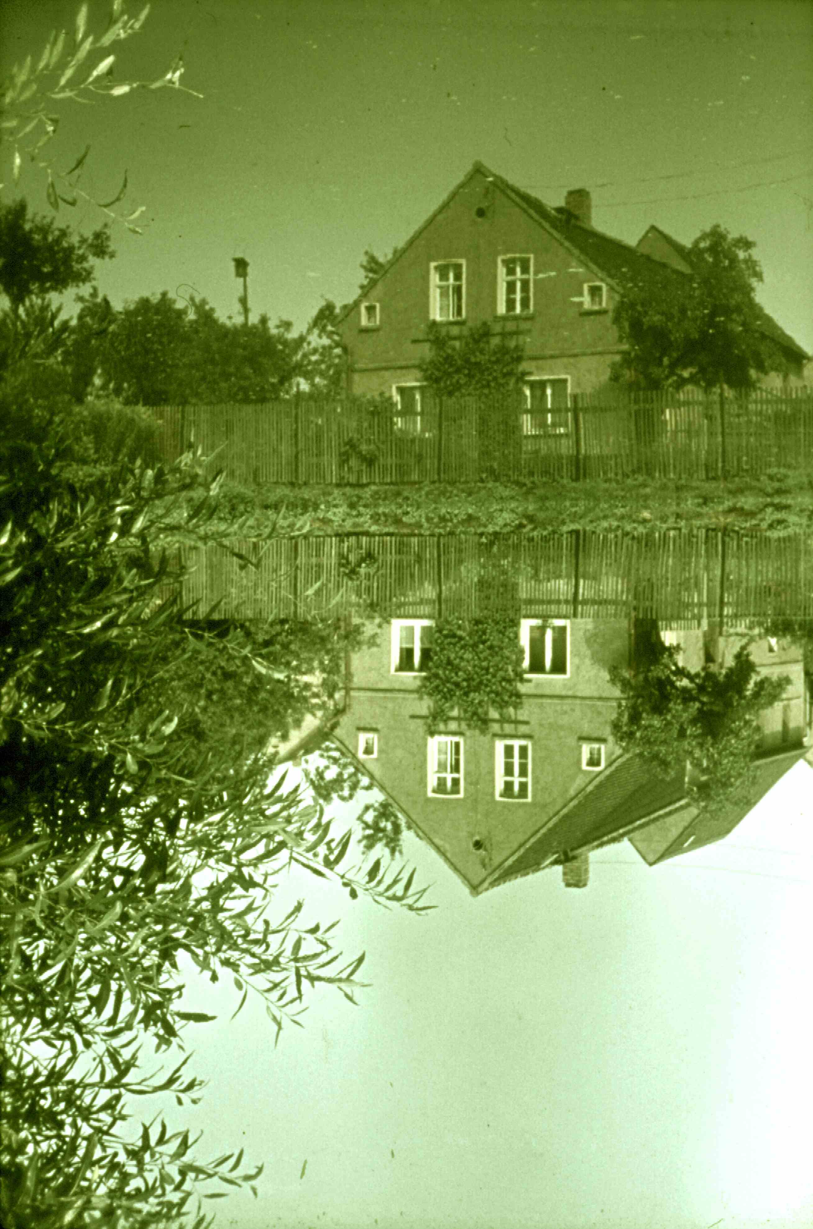 Belgershain, Mittelteich, 13. August 1964