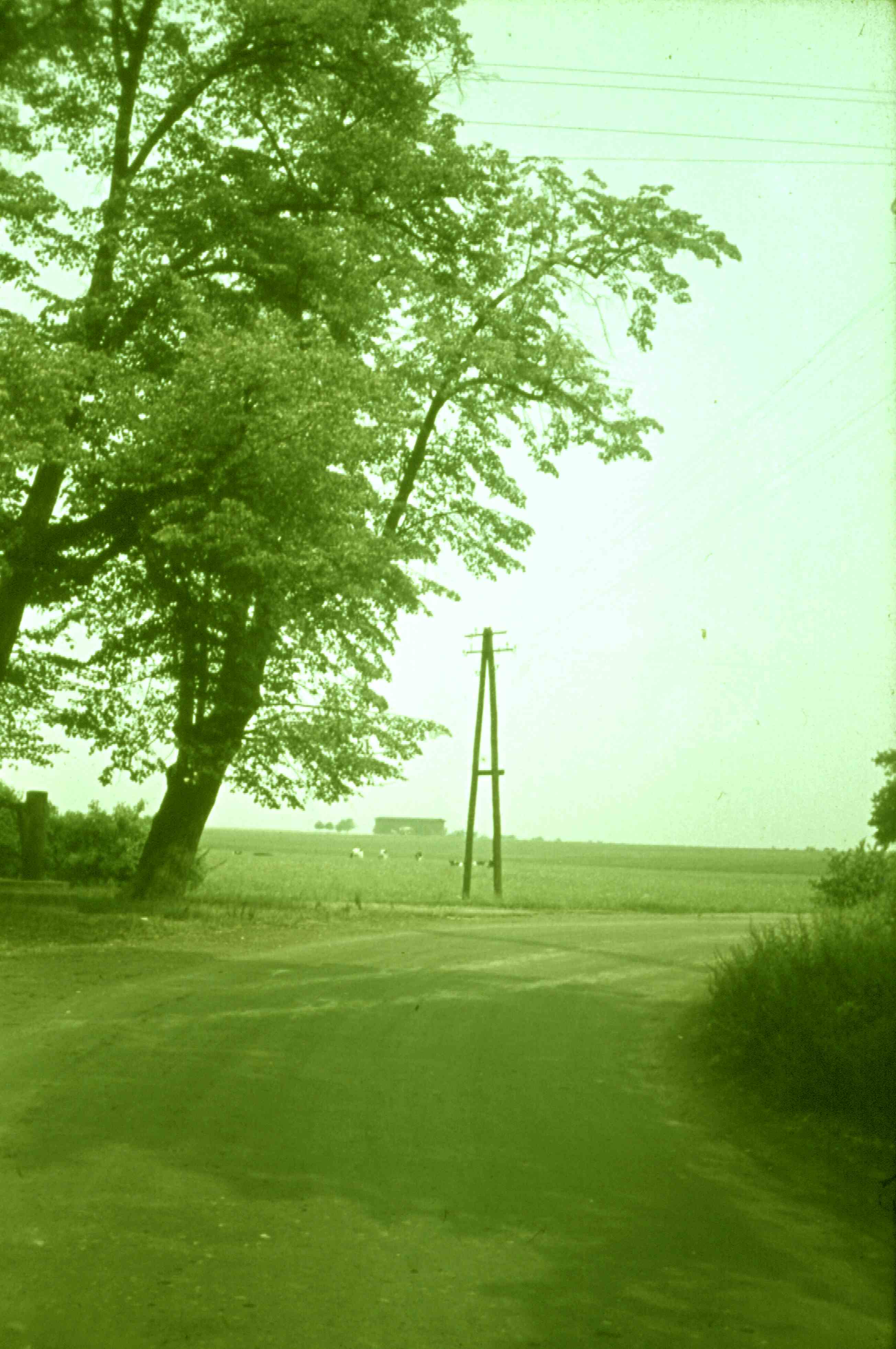 Abzweigung nach K&ouml;hra