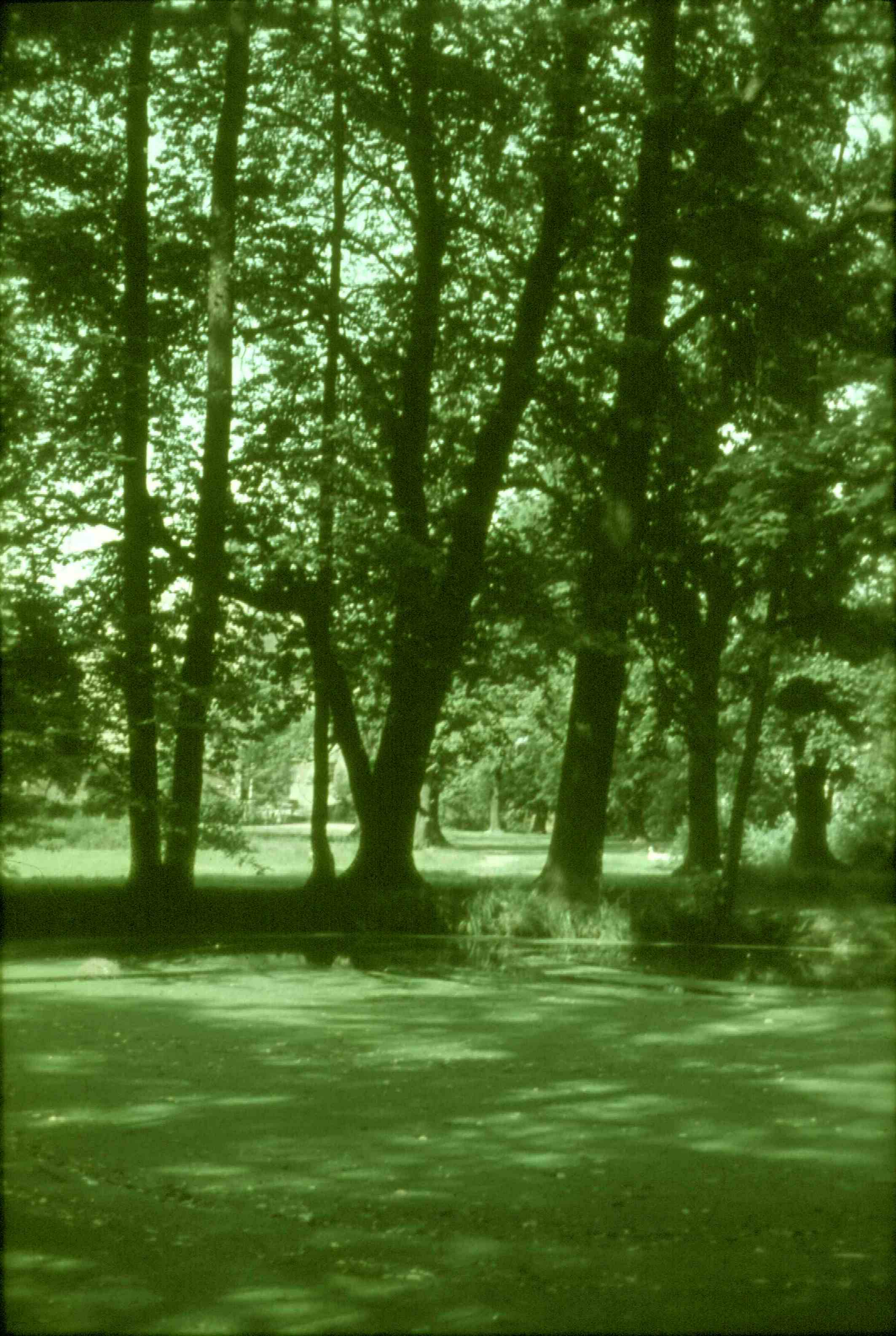 Schlossteich Belgershain