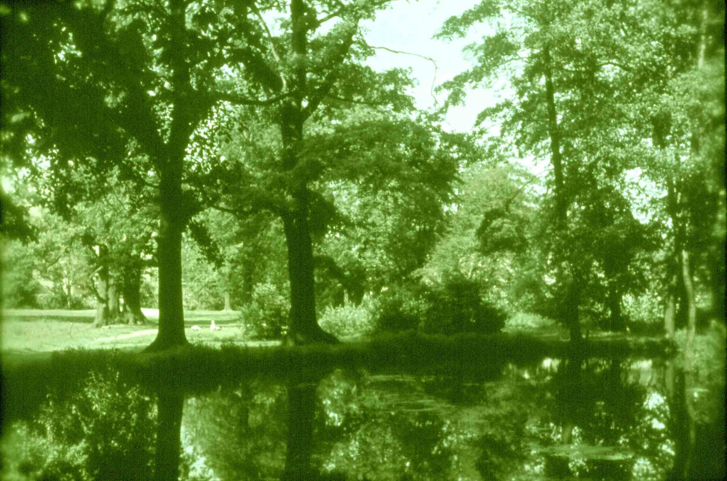 Schlossteich-Foto, Belgershain