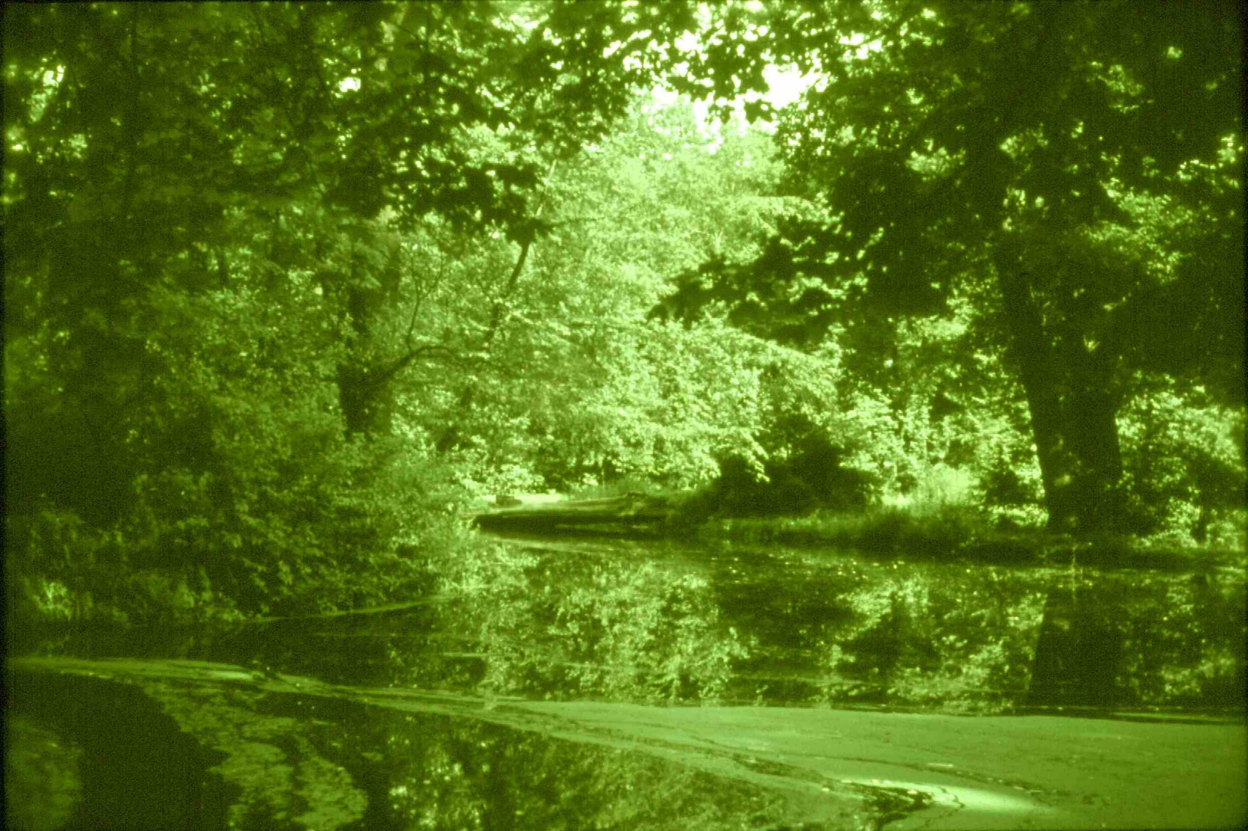 Schlossteich Ton-in-Ton