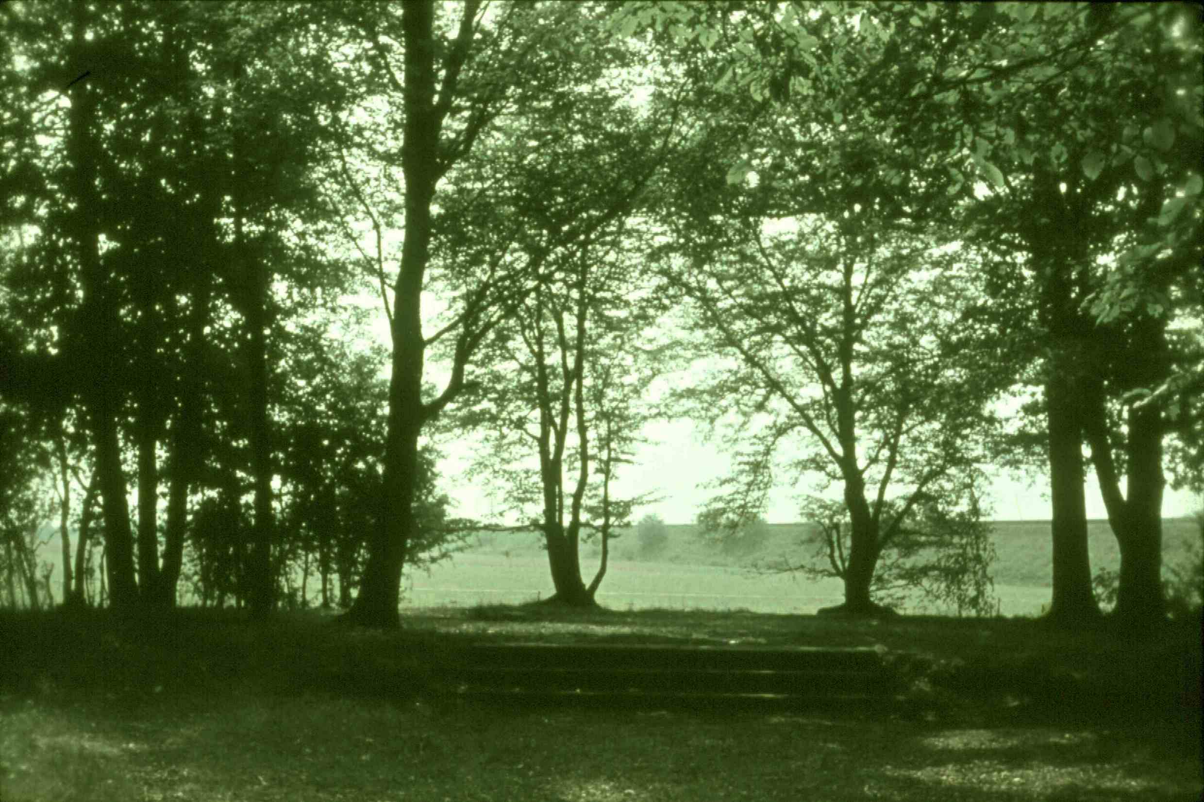 Rondell in Belgershain