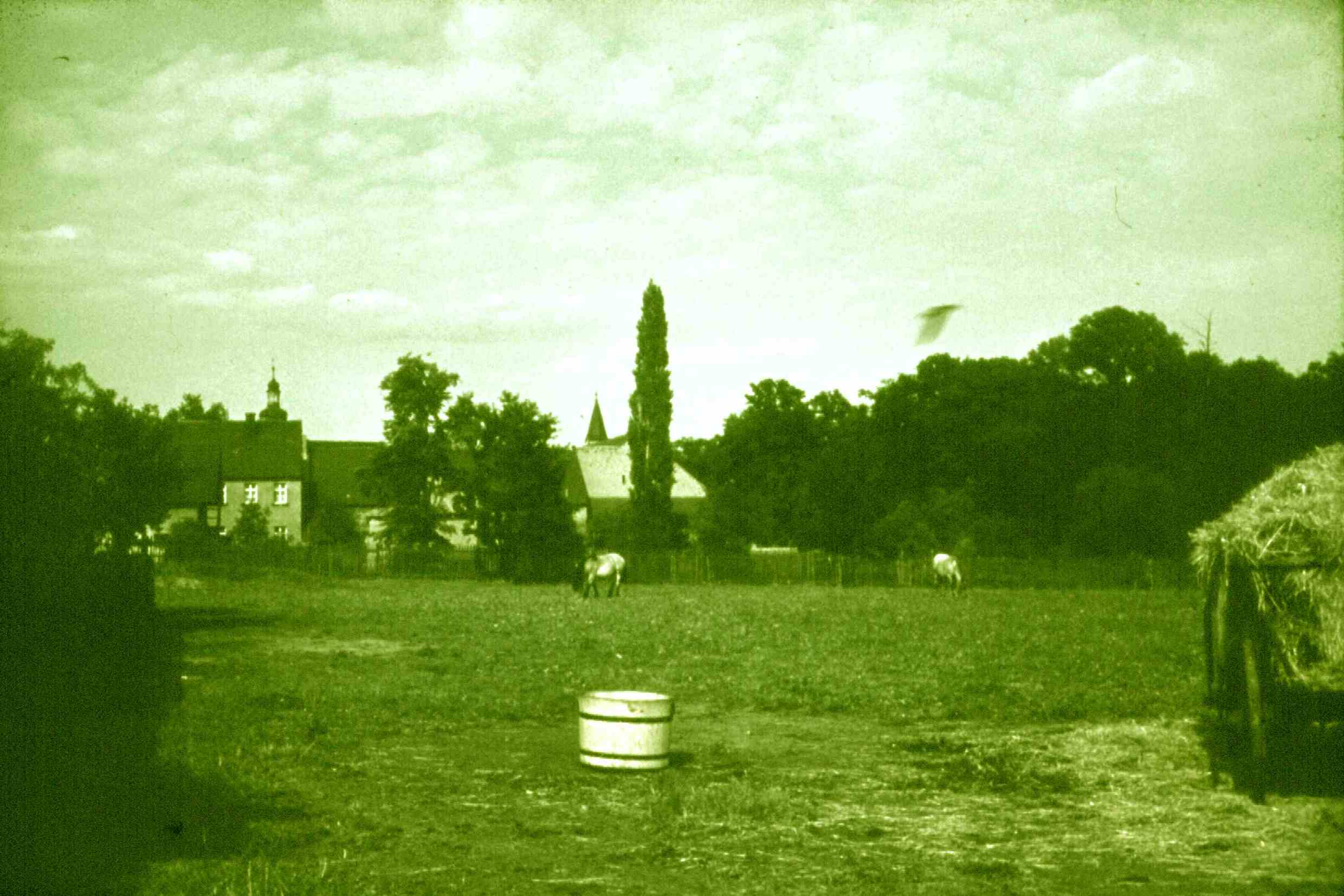 St. Johanneskirche und Schloss, Belgershain
