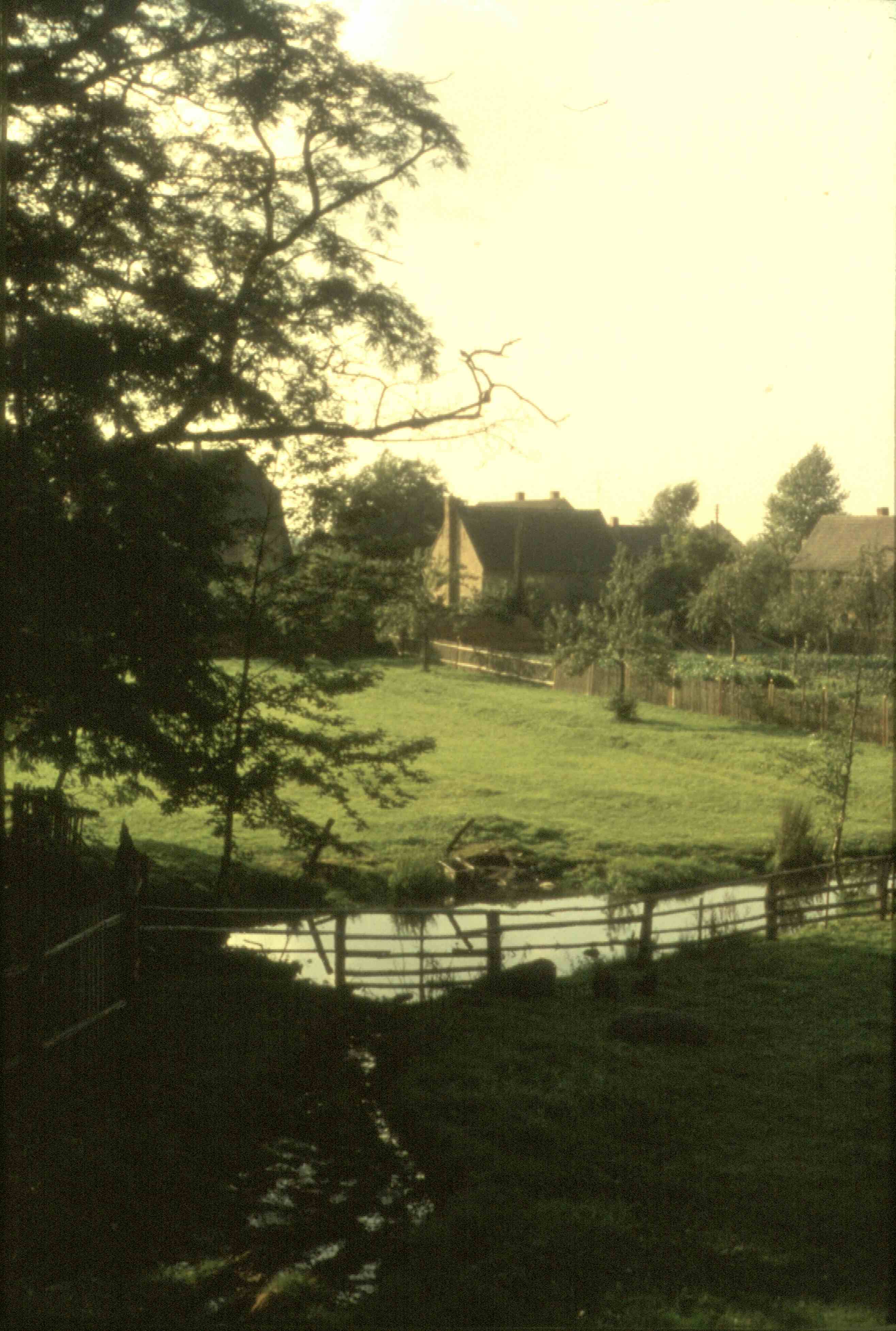 Schlosspark Belgershain