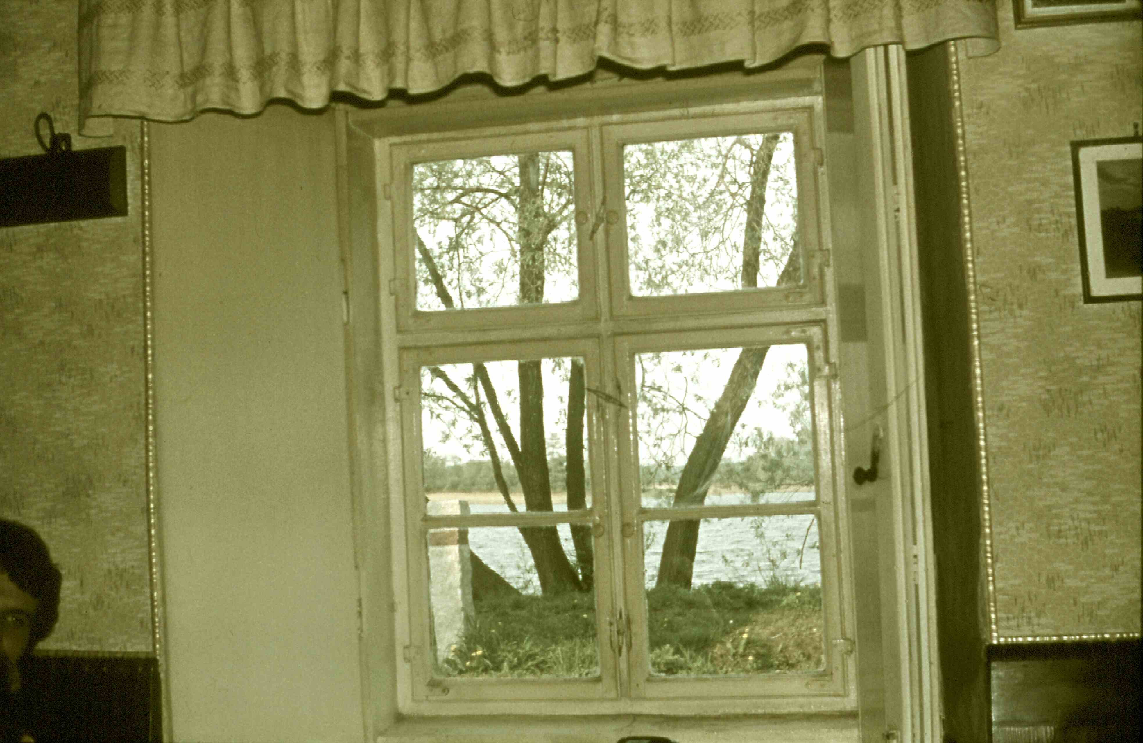 Fensterausblick Gasthof Belgershain-Rohrbach